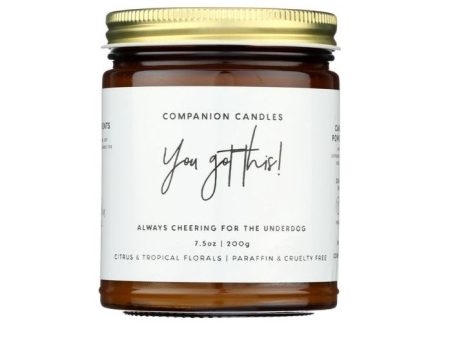 Companion Candles You Got This! Always Cheering For The Underdog - 7.5 oz Online Sale