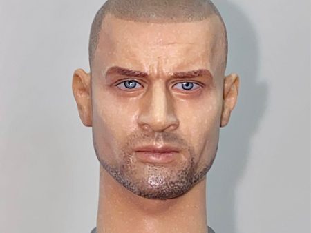 1 6 CUSTOM HEAD SCULPT PRISON BREAK 逃 LINCOLN BURROWS 多米尼克 珀塞爾 DOMINIC PURCELL 頭雕 12吋 FIGURE 專用 (PIU) Discount