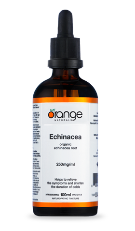 Orange Naturals: Echinacea For Sale