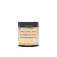 Harmonic Arts: Cordyceps Concentrated Mushroom Powder Hot on Sale