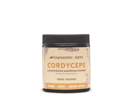 Harmonic Arts: Cordyceps Concentrated Mushroom Powder Hot on Sale