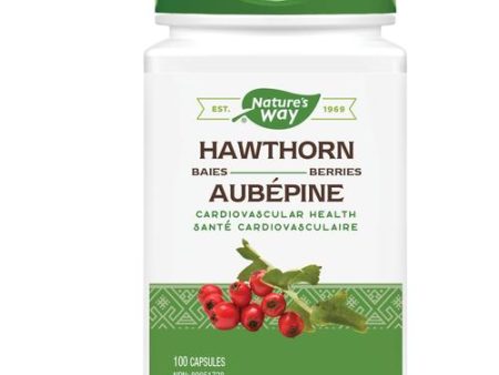 Nature s Way: Hawthorn Berries Online Sale