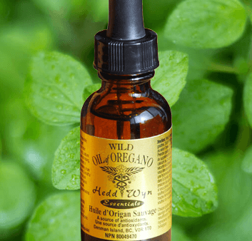 Hedd Wyn Essentials: Certified Organic Wild Mediterranean Oil of Oregano Fashion