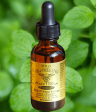 Hedd Wyn Essentials: Certified Organic Wild Mediterranean Oil of Oregano Fashion