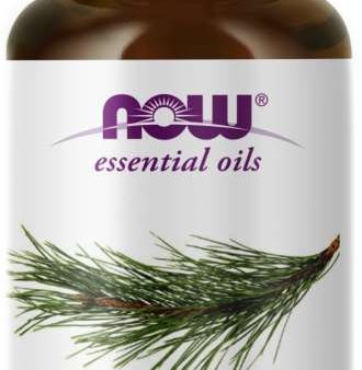 NOW: Pine Needle Oil For Sale