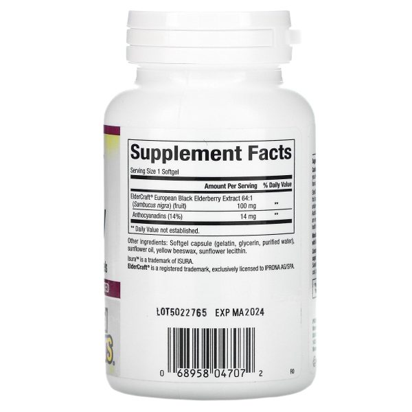 Natural Factors: Black Elderberry 100mg Sale