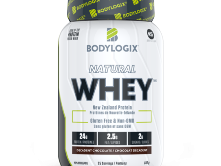 BodyLogix: Whey Protein Cheap